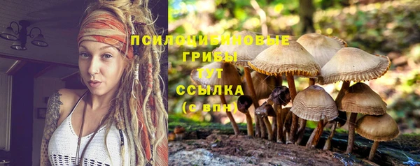 прущие крисы Волоколамск