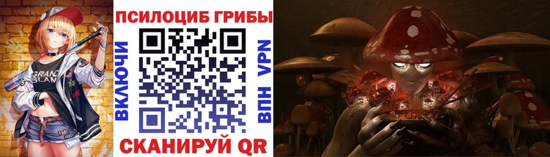 Галлюциногенные грибы Psilocybe  Избербаш 